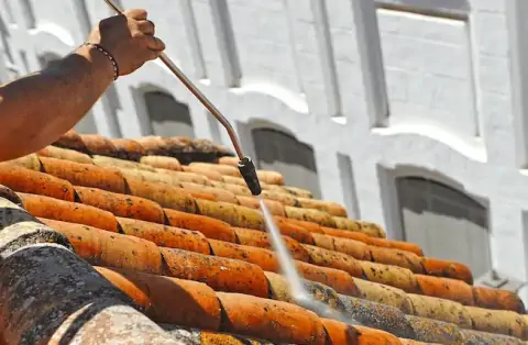 Nettoyage de toitures - Jaulgonne